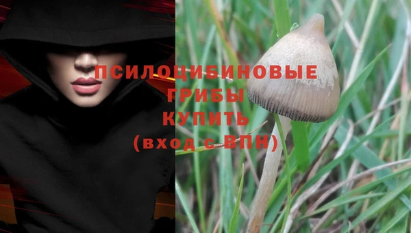 трава Нефтекумск