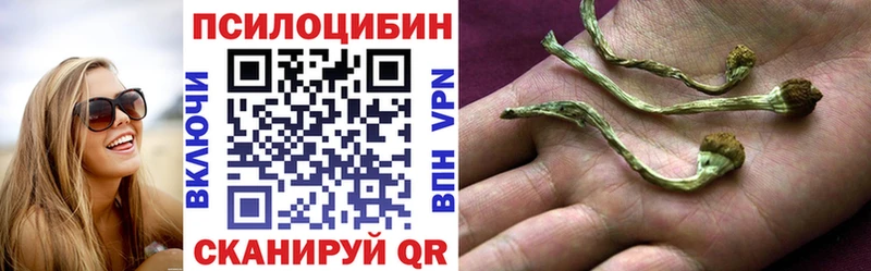 Псилоцибиновые грибы Cubensis Бавлы